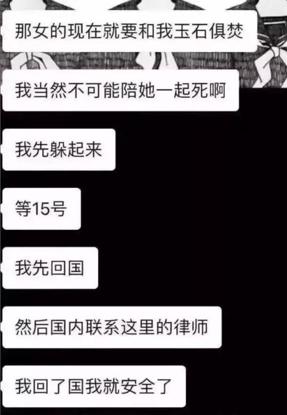 大四学生虐猫事件真相,中国留学生美国虐待案后续