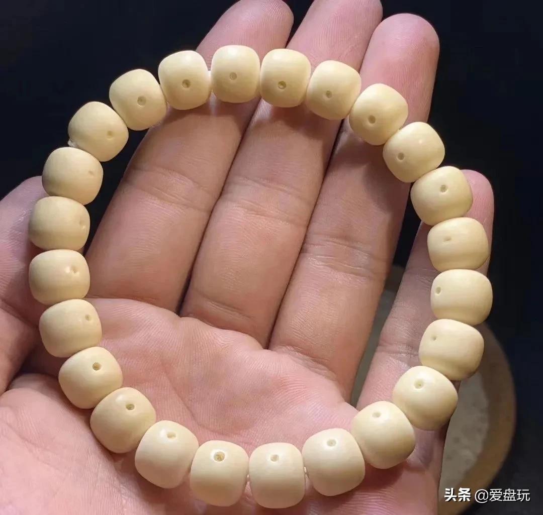 星月菩提没有星的是什么品种,星月菩提只有星没有月