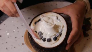 全钦州少女注意!时髦ins风椰子冰淇淋来啦每一口都是小仙女的最爱