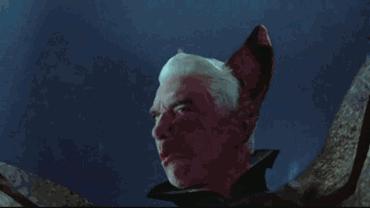 敢吃鳄鱼的人,敢吃鳄鱼的动物