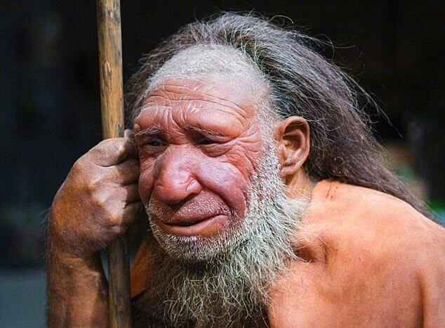 东亚人为什么有尼安德特人基因,尼安德特人和智人的混血