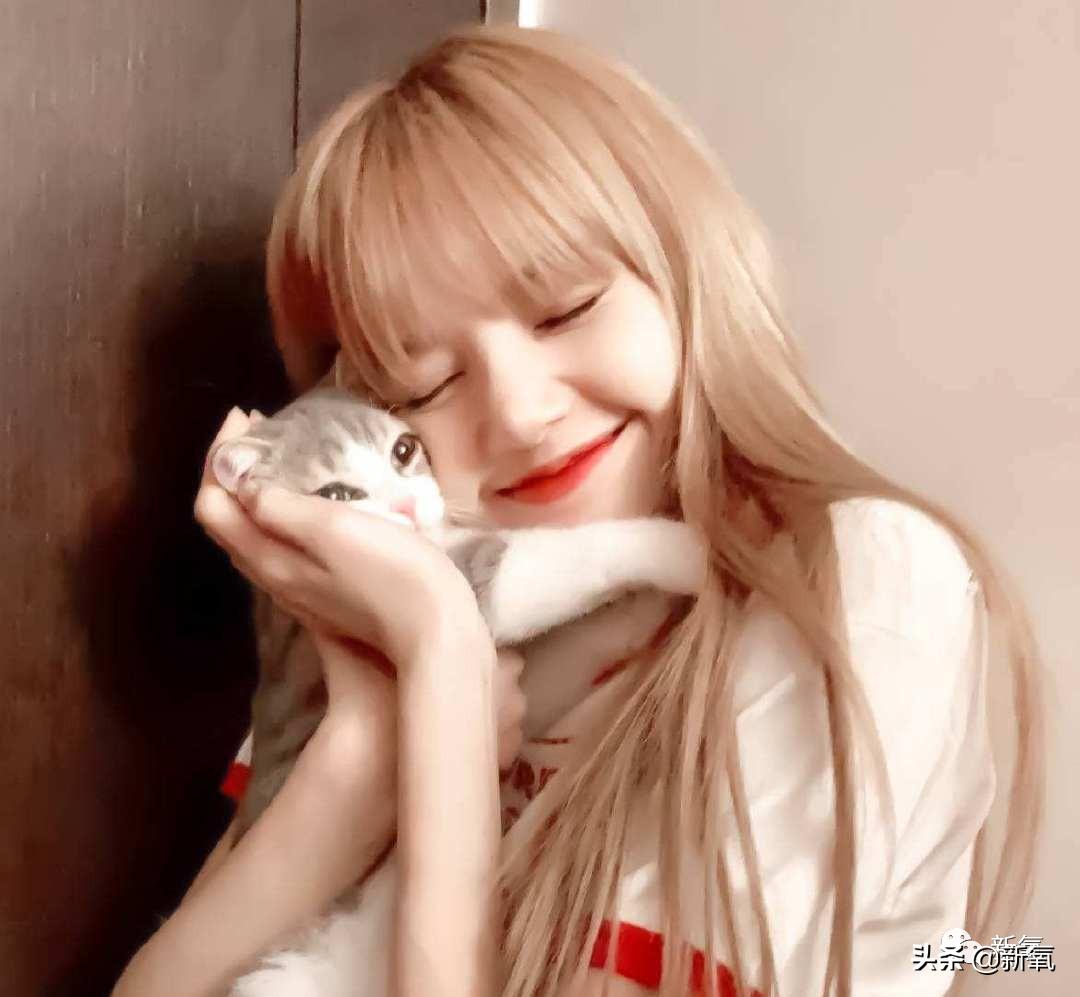 宁静和郑希怡对比,郑希怡和宁静对比