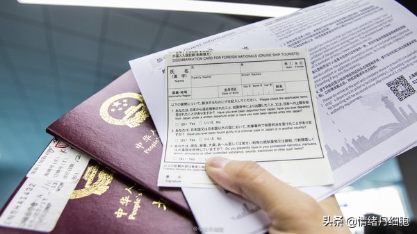 邮轮游选择哪个游轮好,邮轮旅游全攻略公主号