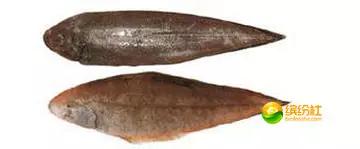 舟山海鲜代加工攻略,最全舟山海鲜攻略