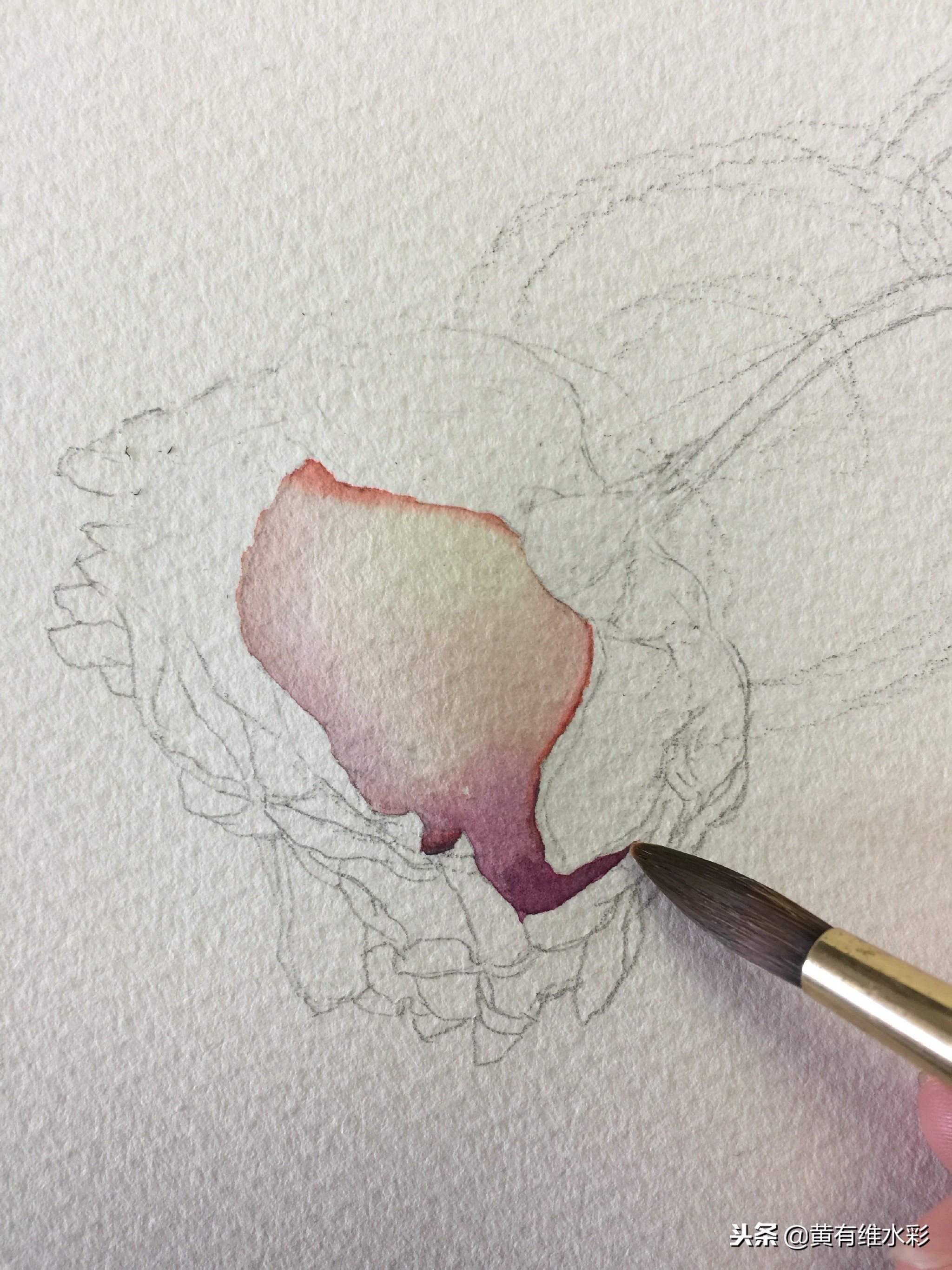 水彩教程简单好看手绘图片,水彩教程画花