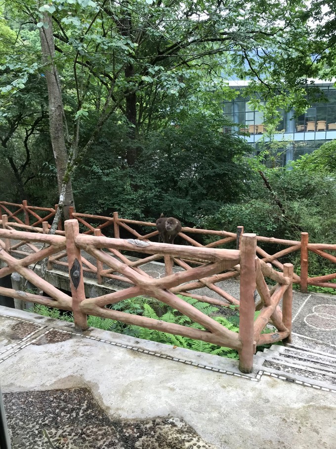 成都喇叭河自驾,自贡到喇叭河自驾