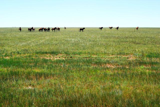 一辆车，从东乌旗沿中蒙边境公路到阿尔山，漫长边关寻迹历史遗存