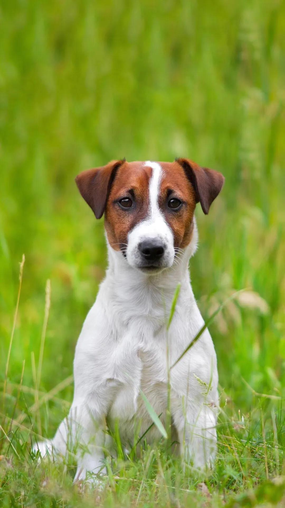 八个细节告诉你身边的人谁最靠谱,九个细节告诉你周围人谁最靠谱