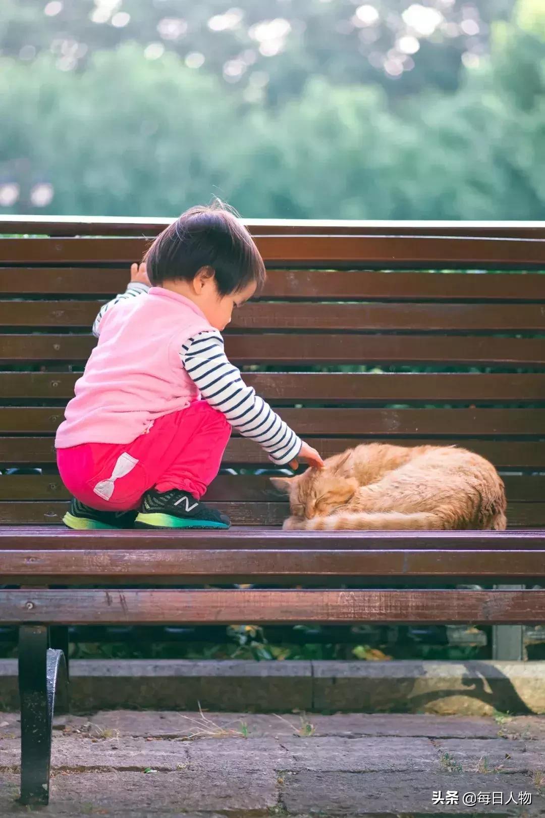 猫咪也有无可奈何的时候,猫咪为什么会给人安慰