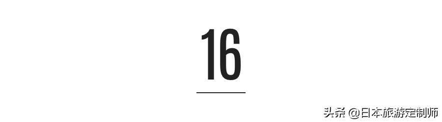 日本最美小景点,日本超美的花海美景