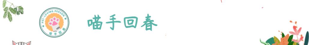 金毛半夜哈气走动不睡觉,金毛突然很暴躁对人龇牙咧嘴