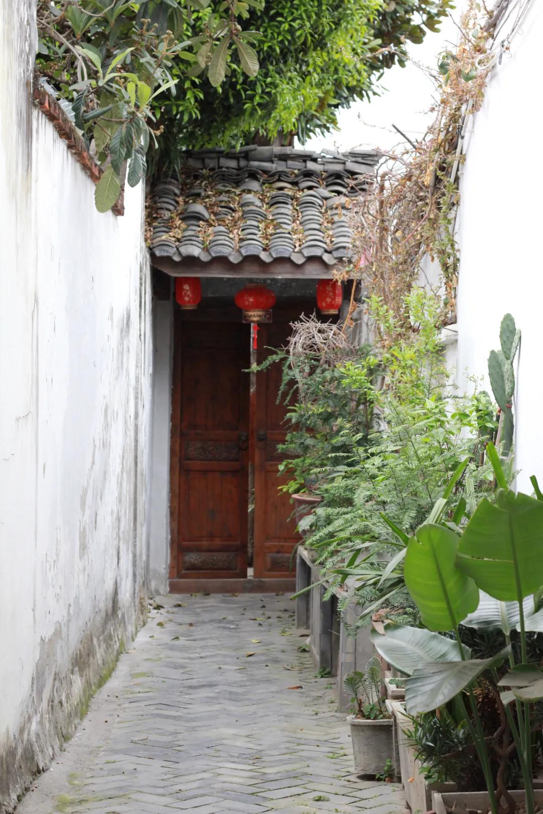 遇见阆中原声,遇见阆中的作品