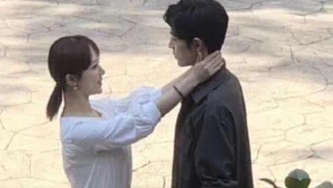 杨紫手滑点赞关晓彤,杨紫点赞肖战微博是手滑吗