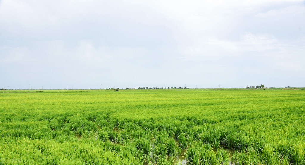 郴州市商机,郴州市发展商机