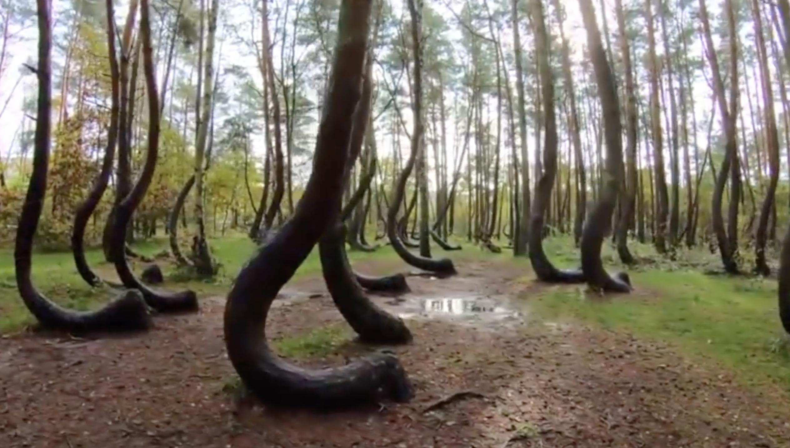 地球距离最近的类地行星,地球上的十大危险行星