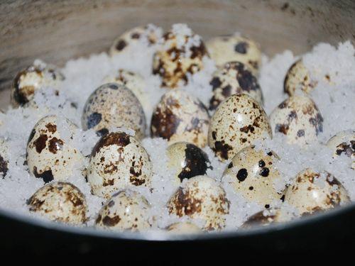 盐在烹饪中的作用,盐在烹饪中合理使用