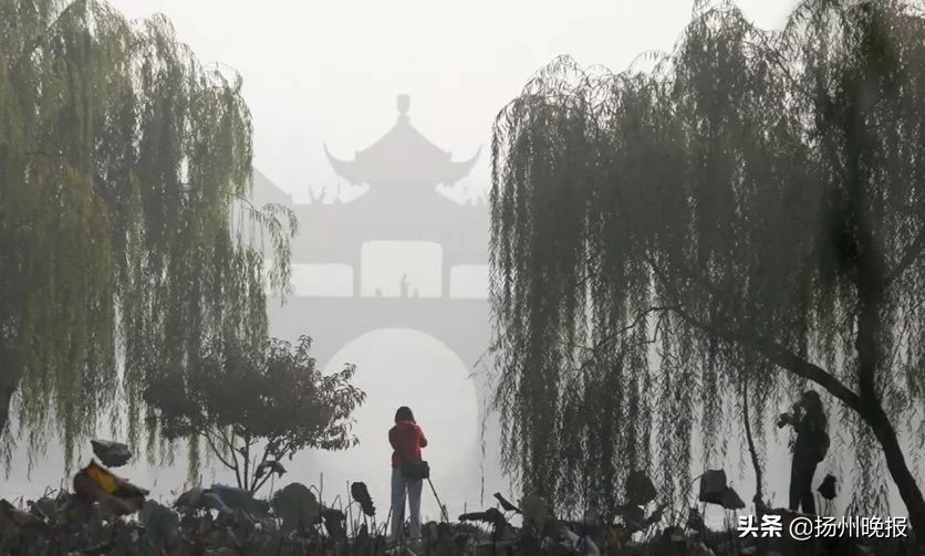 2018年冬天扬州赏花攻略,扬州11月秋景打卡地