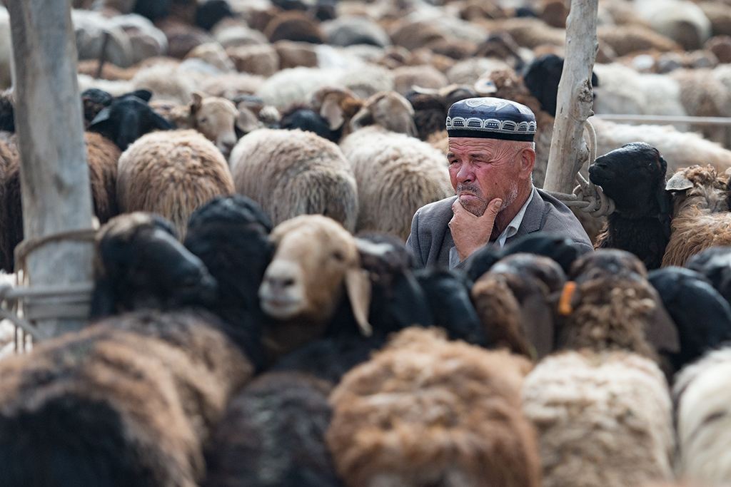 疆内旅游十大好去处,从新疆去哪旅游最便宜