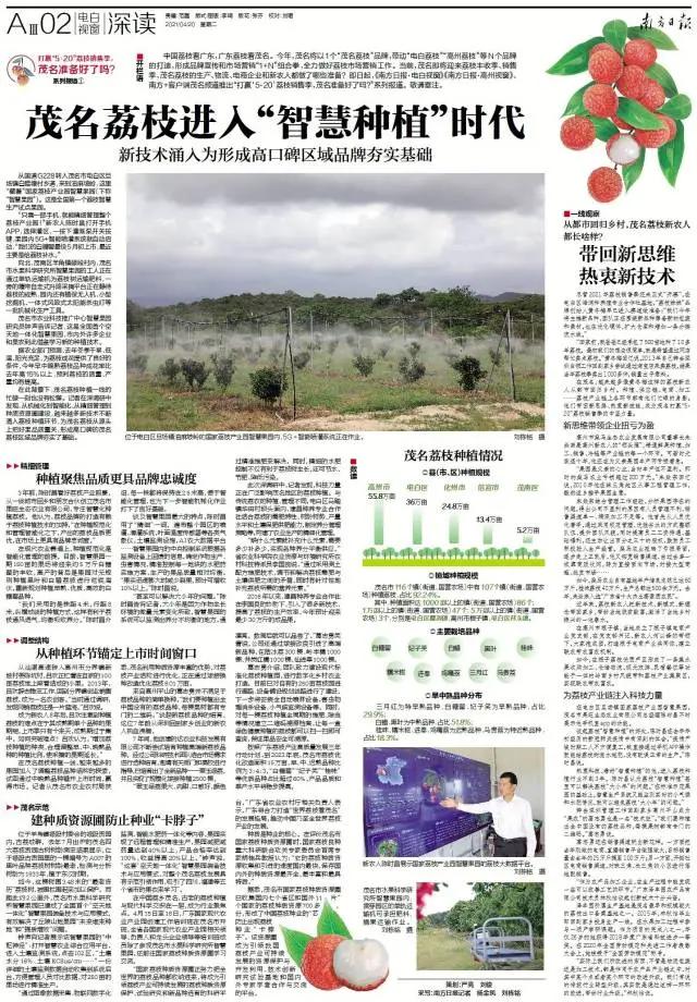 荔枝丰收季最新视频,荔枝丰收季广东