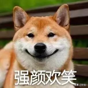 有哪些质量比较好的网红淘宝店,最值得买的淘宝网红店