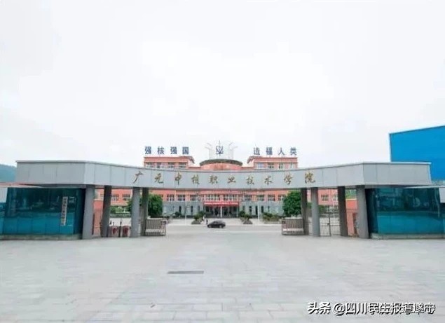 四川退役免费全日制大专政策,退役军人免费读大专学校有哪些