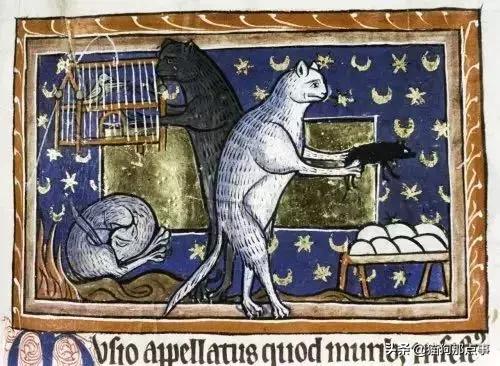 爱我，就给我舔屁股吧