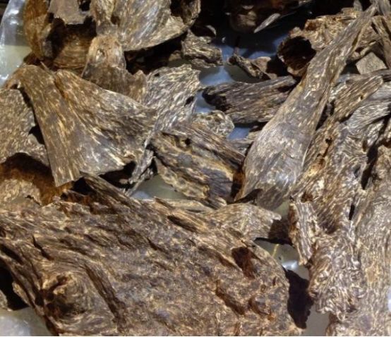 关于沉香的几个常识你都了解吗,关于沉香的几个常识你都了解