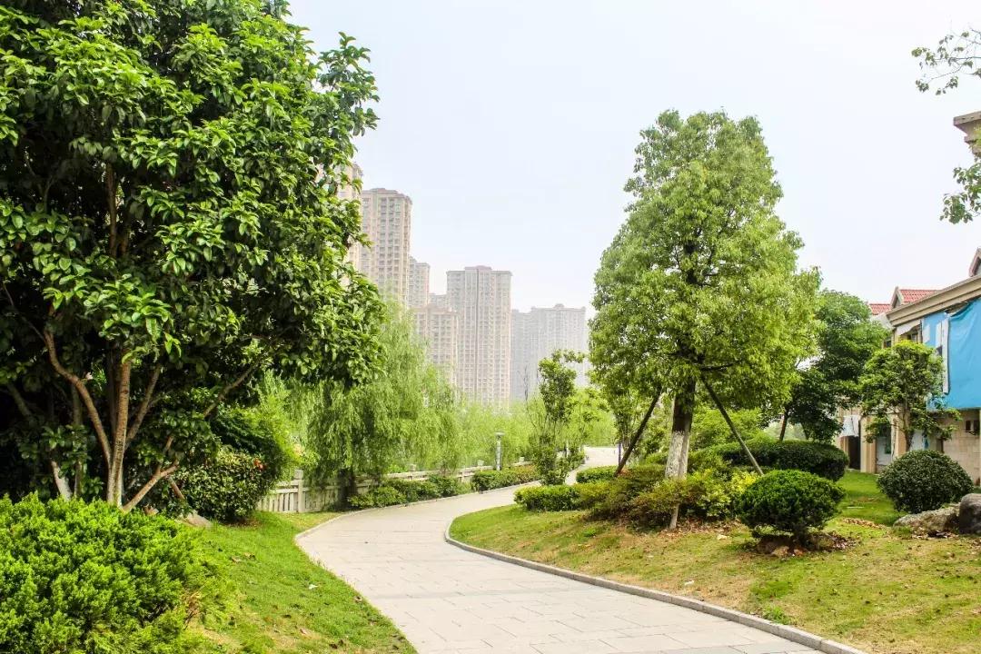 最新杭州湾世纪城视频,浙江慈溪世纪城杭州湾新区