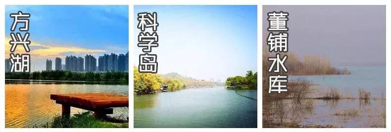 合肥目前全国排名第几,安徽合肥在全国的排名