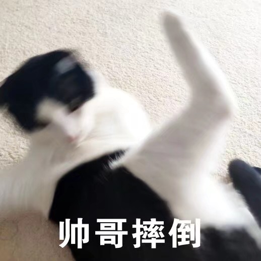 零基础赚钱小技巧视频,如何靠文字赚钱