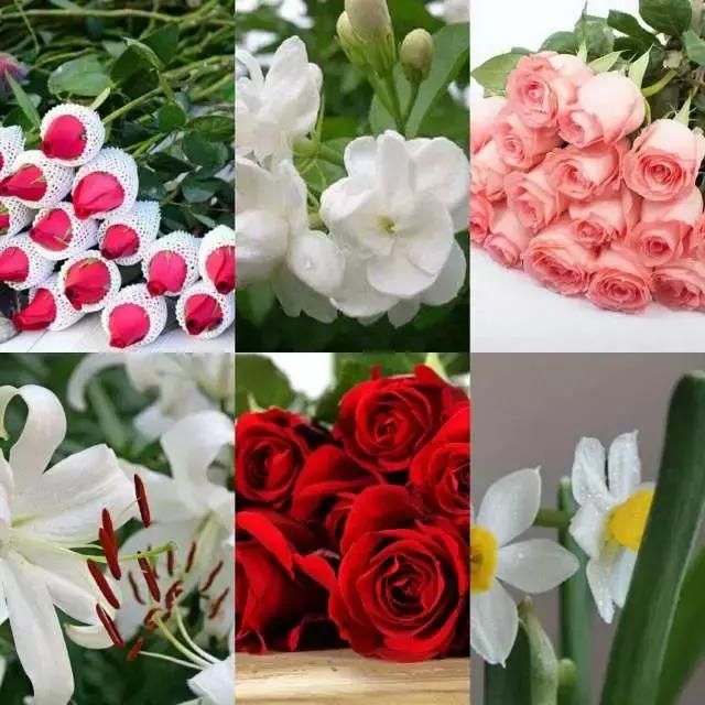 当了花艺师之后,过得都是什么生活?