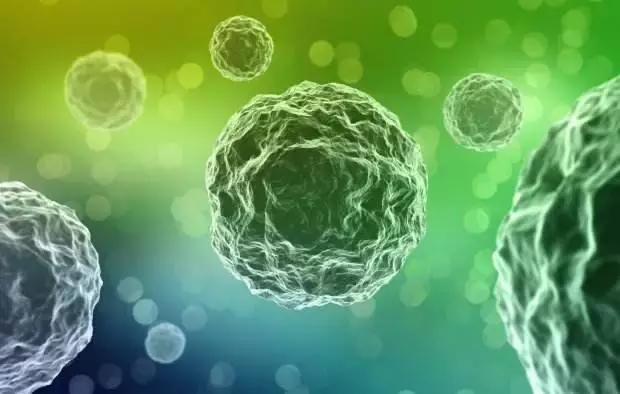 肠道菌群对癌症的影响,肠道菌群与癌症的最新研究