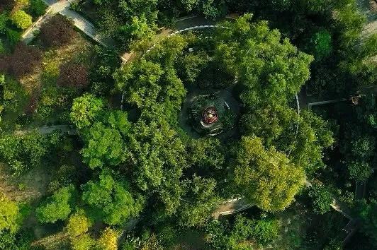 邀特别的你共赏——特别的皇沟馥合香，特别的皇沟七馥