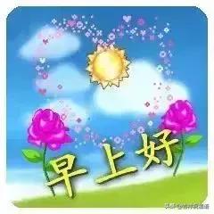 幸福一半争取一半随缘是什么意思,人生的幸福一半要争一半要随