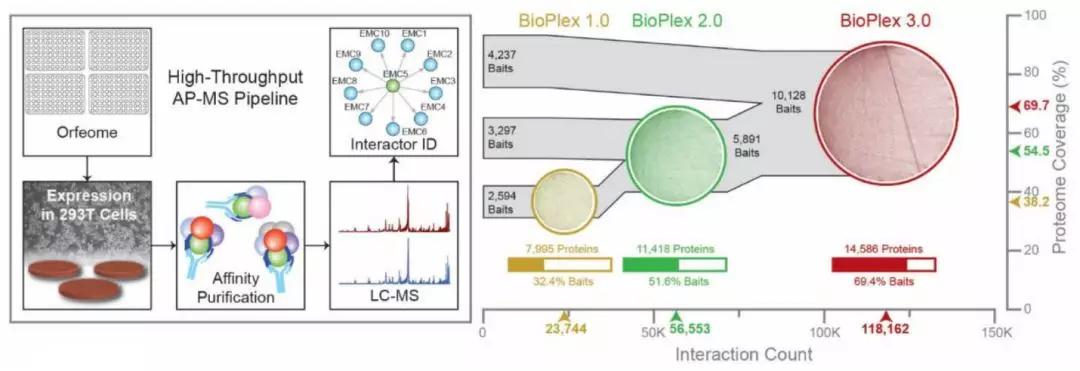 脑科学与人工智能研究报告,脑科学最新突破性发现