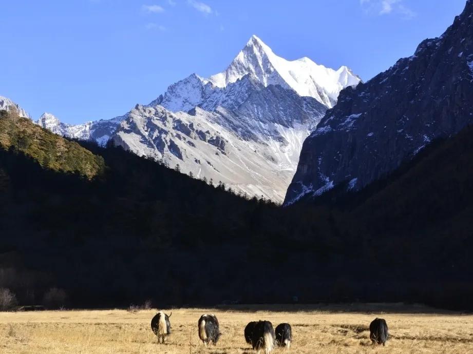 稻城亚丁一个让人魂牵梦绕的地方,稻城亚丁最接近天堂的地方