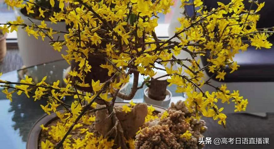 高考日语基本知识归纳与练习资料,高考日语必考语法知识点