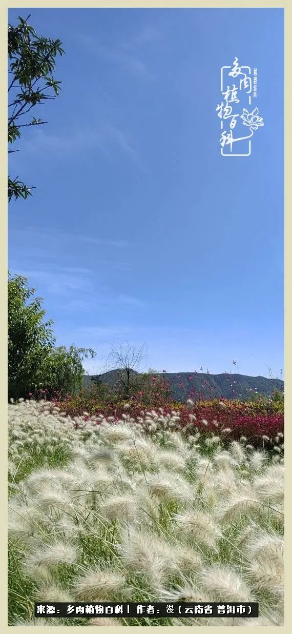 深情不及久伴,厚爱无需多言,择一“爱”,护一生