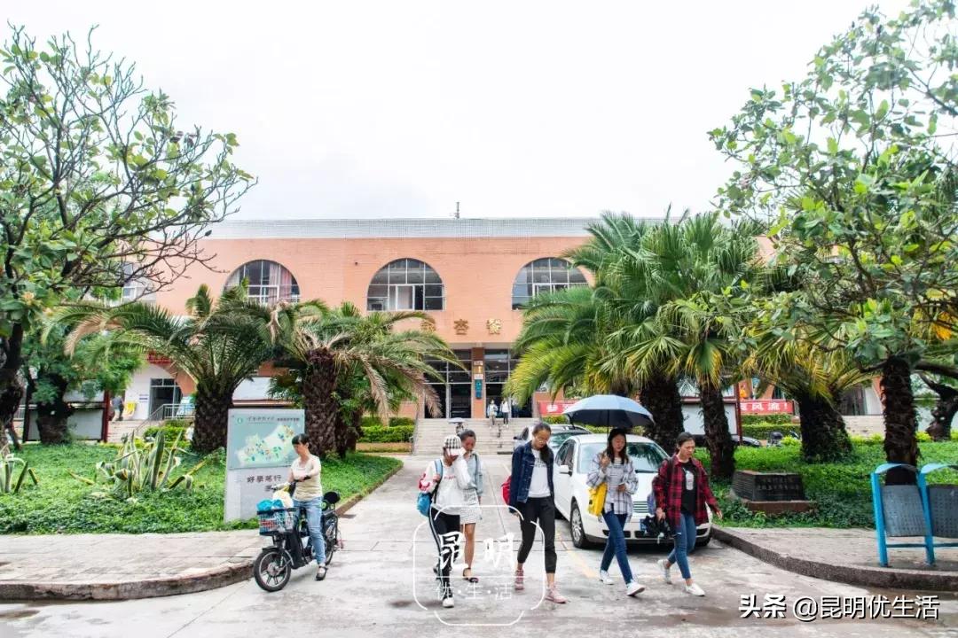 我眼中的云南财经大学,母校云南财经大学