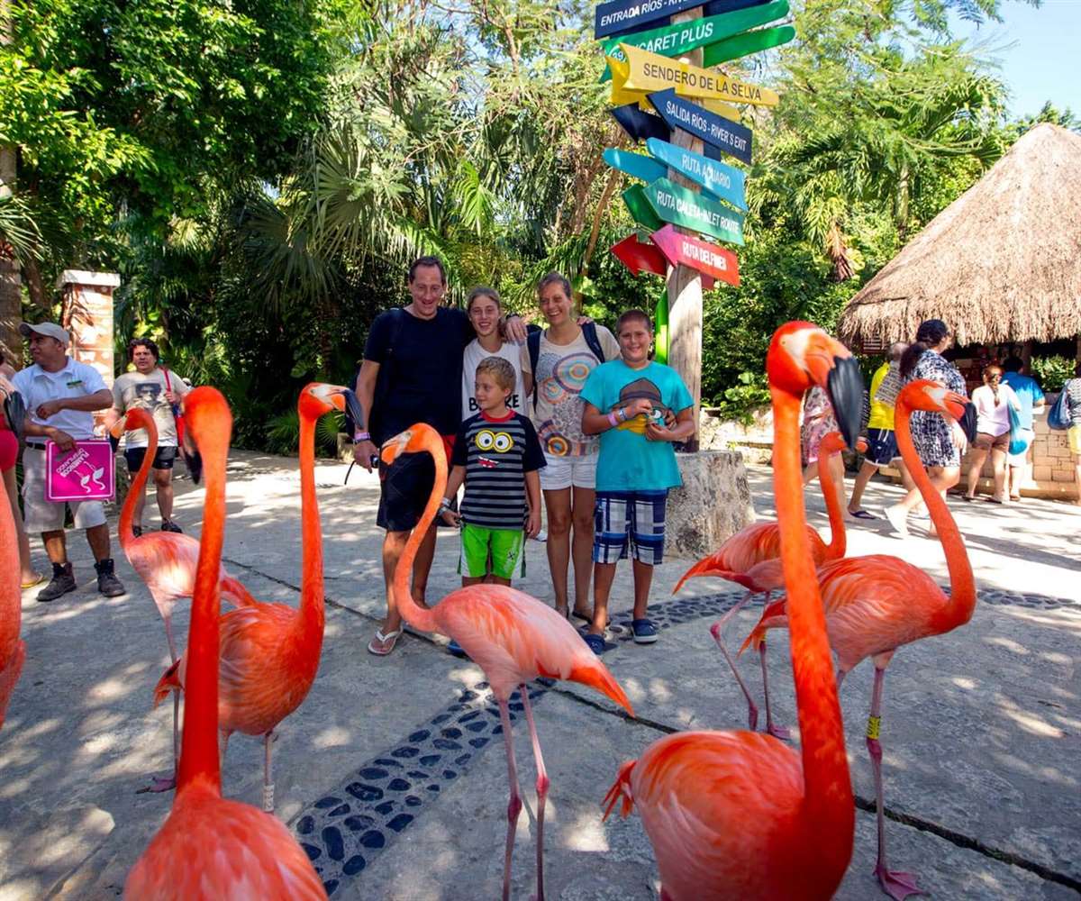 墨西哥旅游攻略亲子,墨西哥城适合孩子玩的地方