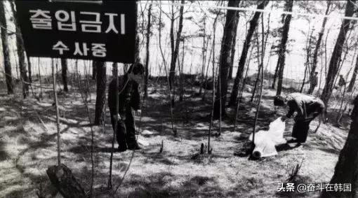 轰动韩国的杀人碎尸案,轰动韩国的案件完整版