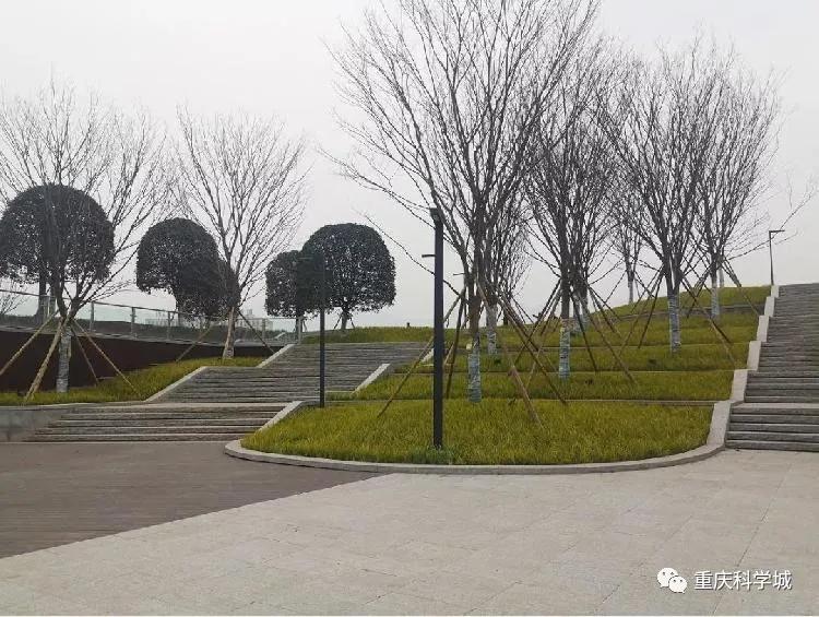 大型绿地公园,25万平方人工湖