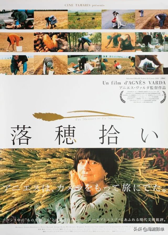 纽约时报评选21世纪100部最佳电影,纽约时报十佳电视剧