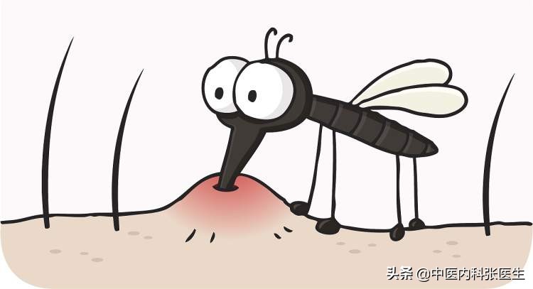 五“毒”月，避“六”邪，排“七”毒，让你一年安康