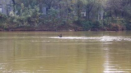 考上湖大是什么水平,考上湖美一年花多少