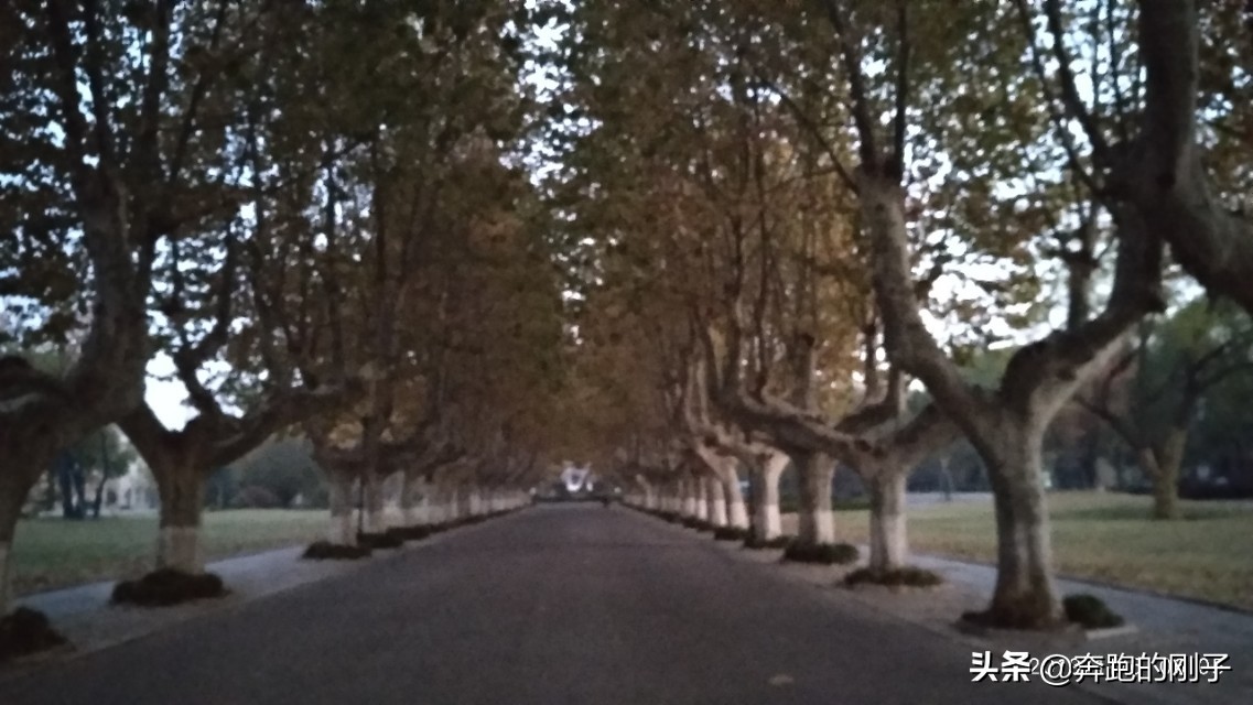 备战马拉松最后10天训练,备战南京浦口马拉松