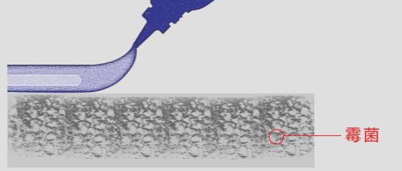 洗手台发霉怎么去异味,洗手台发霉用什么清除