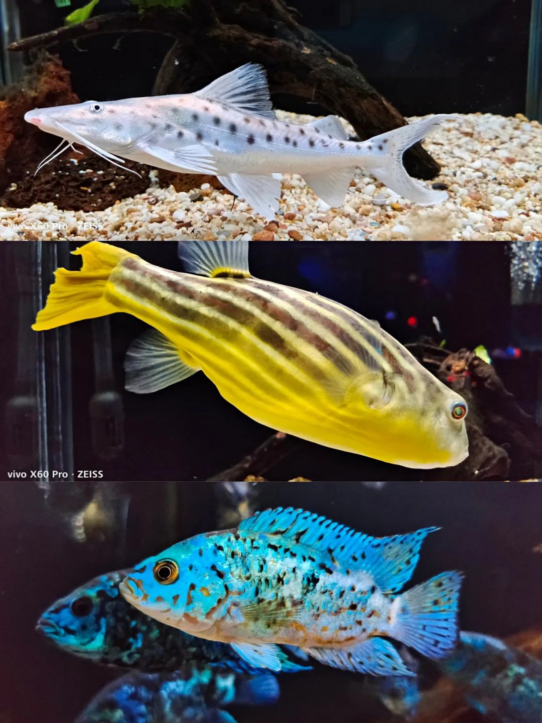 开启非凡住宿万豪旅享家,万豪旅享家邂逅城市五星级酒店