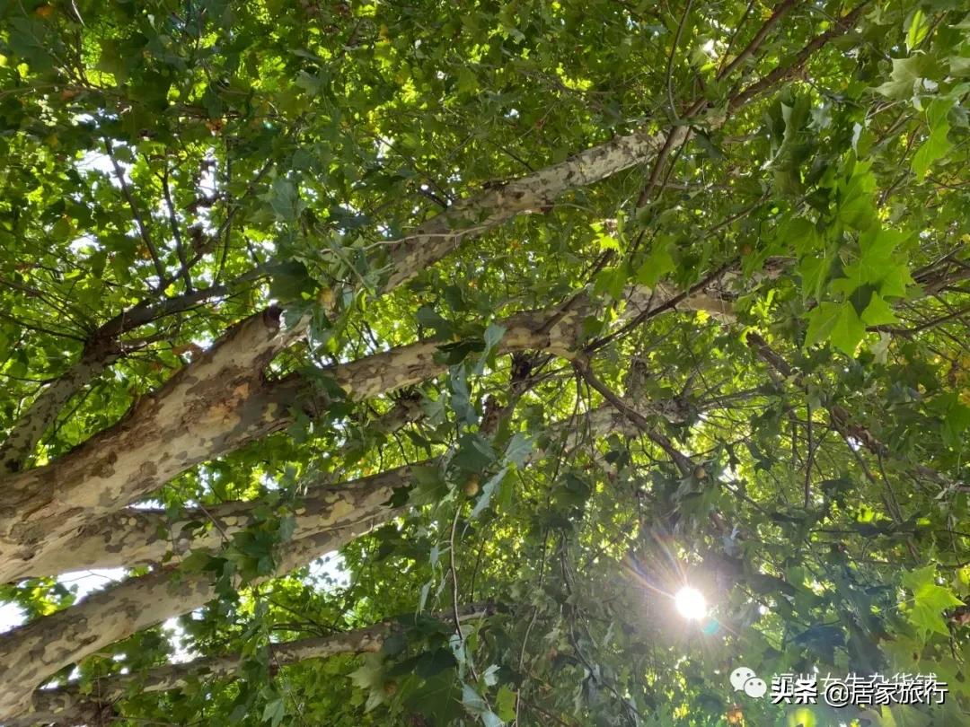 7/10，凌晨夜深码字进行时，时间里的小确幸