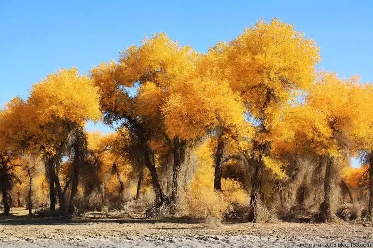 低调的和田玉,低调奢华的和田玉